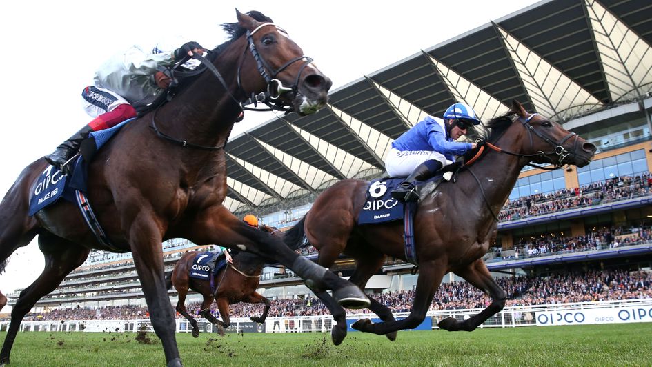 Baaeed has the measure of Palace Pier