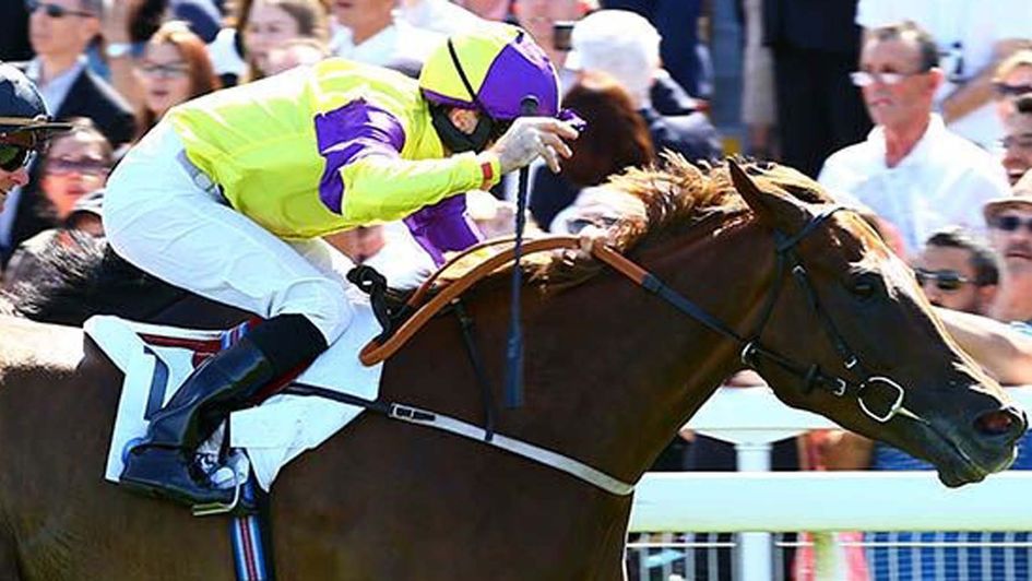 Brando wins the Prix Maurice de Gheest from Aclaim (pic. www.tattersalls.com)