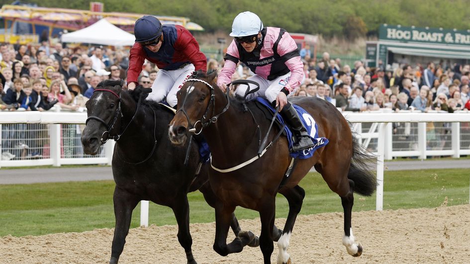 El Caballo (right) gets the better of Tiber Flow