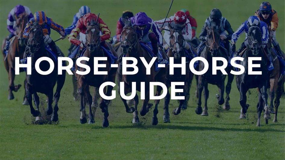 Dewhurst Stakes preview