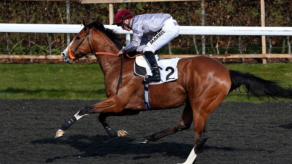 Qaysar wins well at Kempton under Tom Marquand
