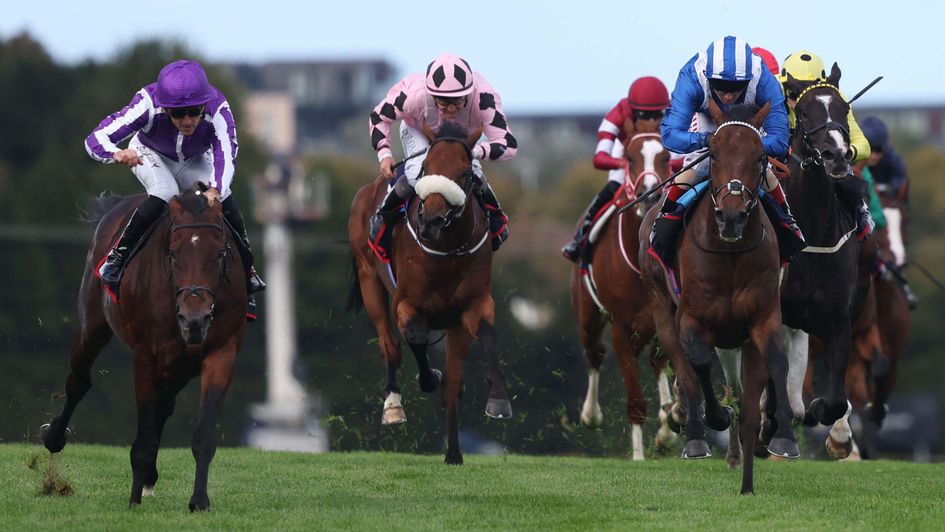 Delacroix (left) wins at Leopardstown