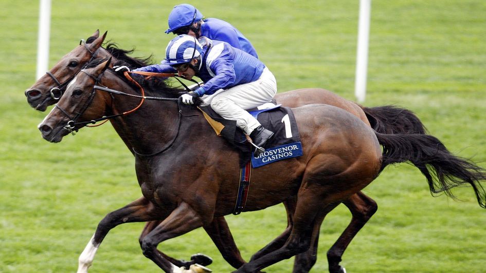 Laaheb wins the Cumberland Lodge