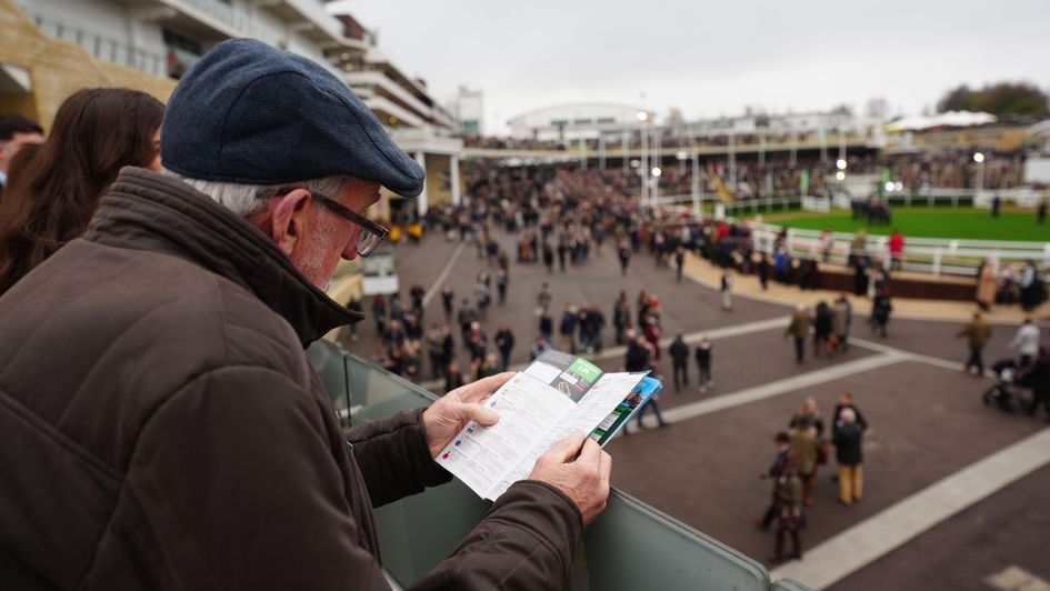 Who caught the eye in the Cheltenham paddock?