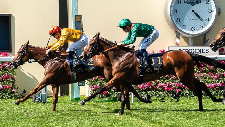 Zarigana finishes second at Royal Ascot