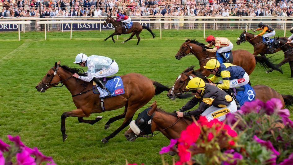 Stratusnine wins the Sky Bet Dash