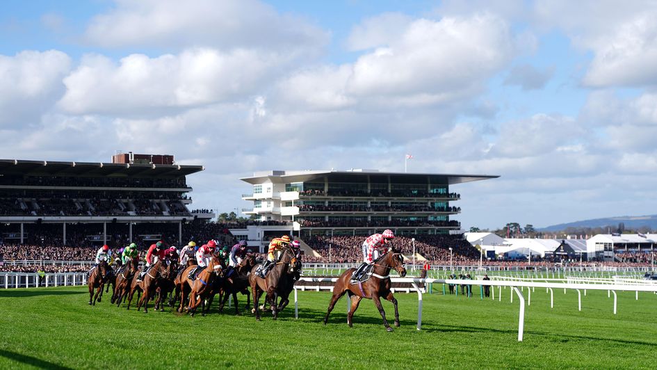 Action from the BetMGM Cup won by Jingko Blue from the front