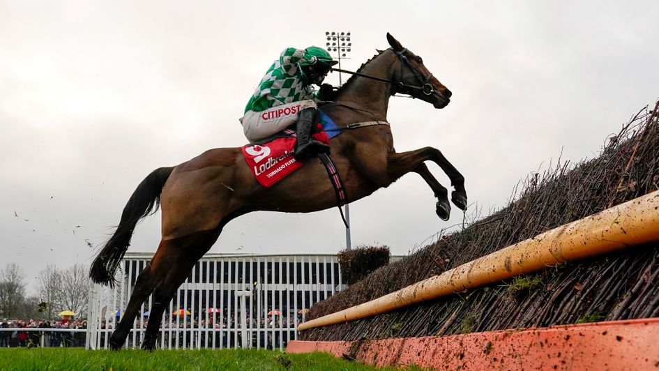 Tornado Flyer takes off at the last in the King George