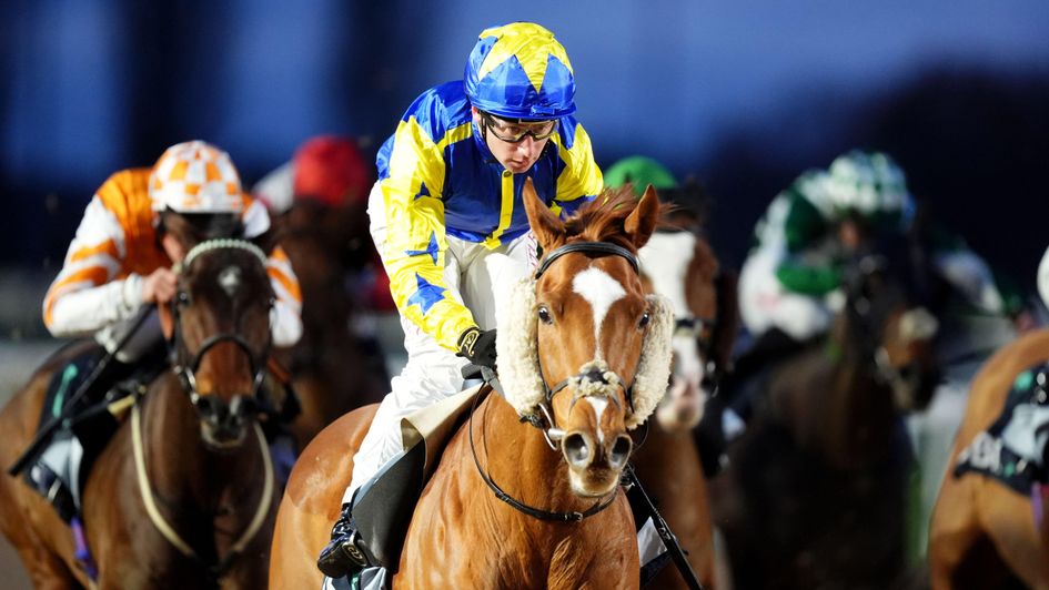 Oisin Murphy wins on Wonder