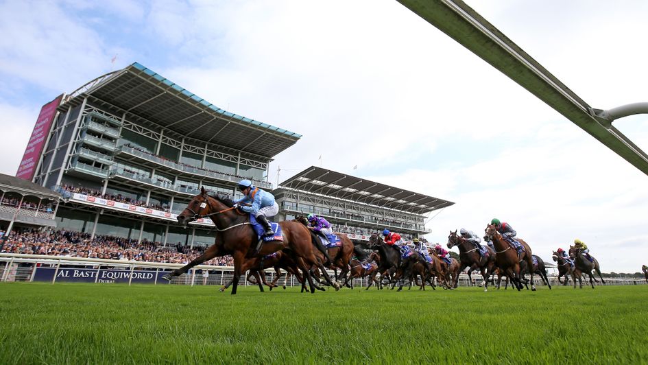 Copper Knight wins again at York