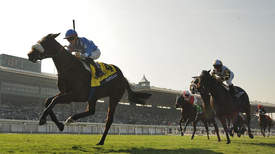 Flotilla wins at the Breeders' Cup