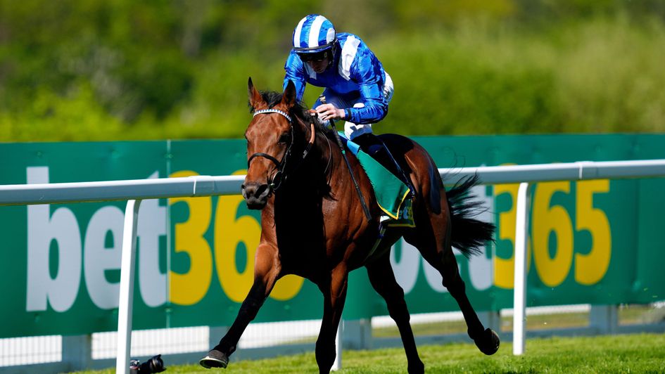 Raaheeb - impressive winner of Bet365 Classic Trial