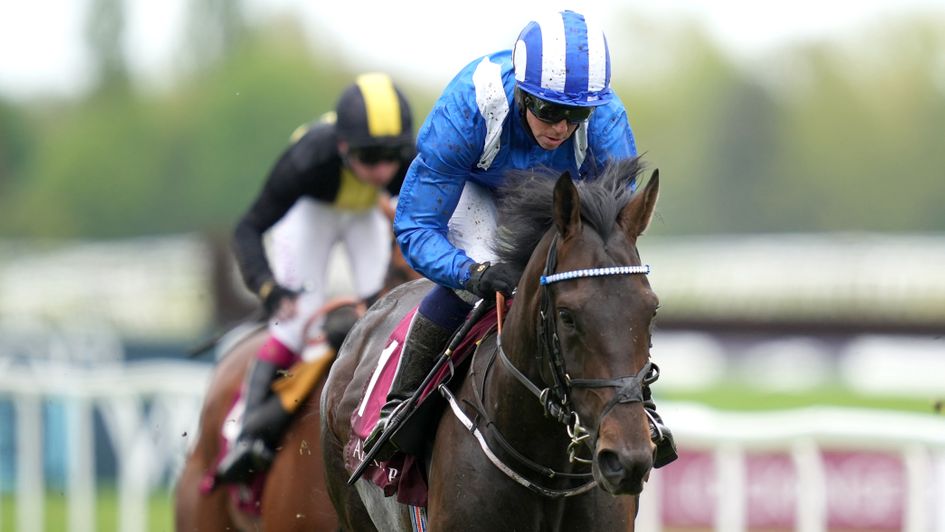 Al Aasy: looks a cut above his rivals at Newbury