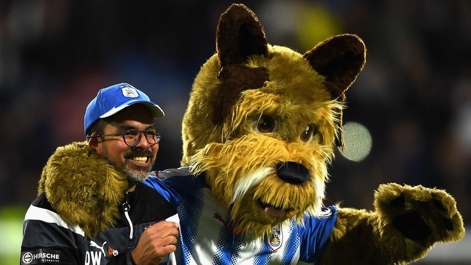 Huddersfield Town mascot Terry the Terrier
