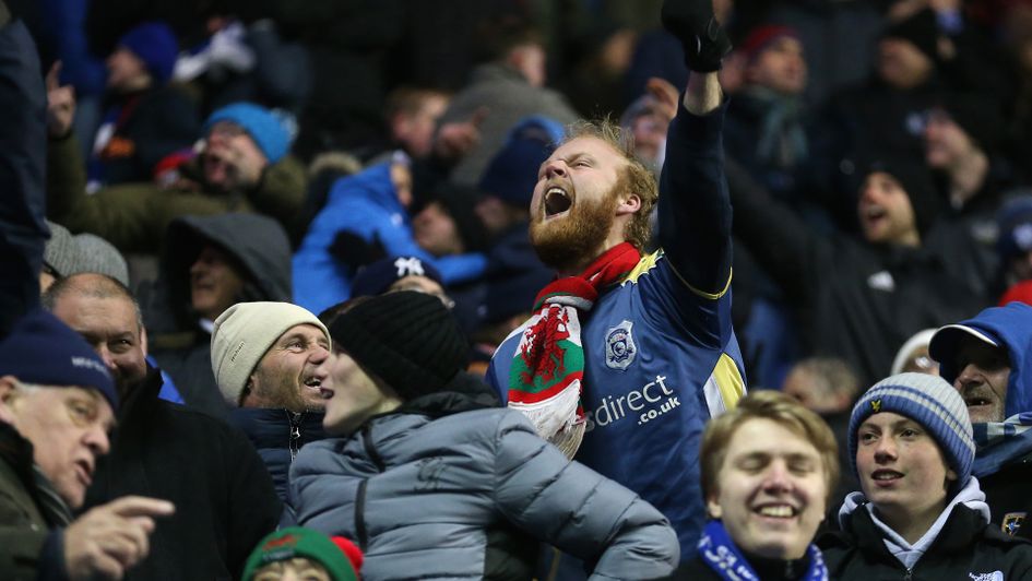 Cardiff City fans celebrate