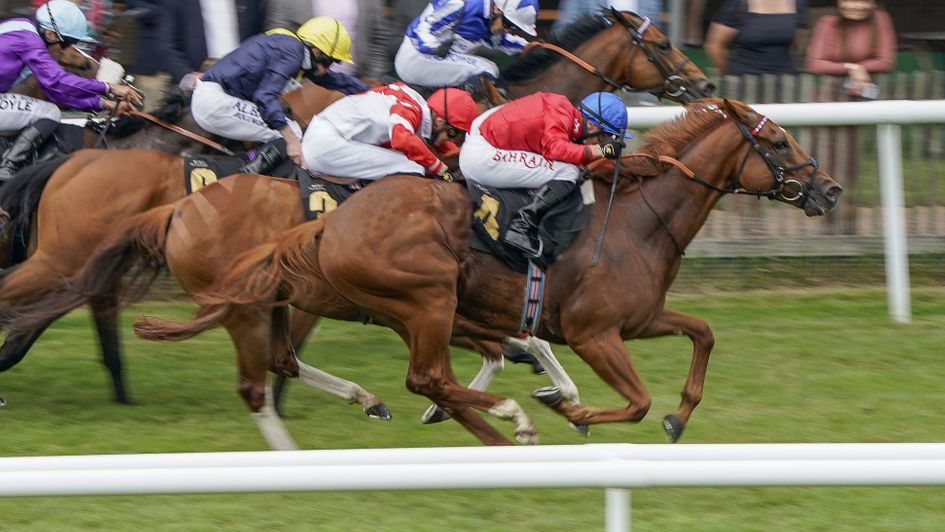 Ametist wins at Newmarket