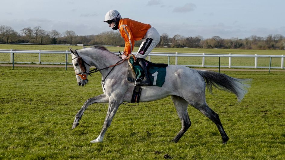 View From France Paul S Saga In Action At Auteuil