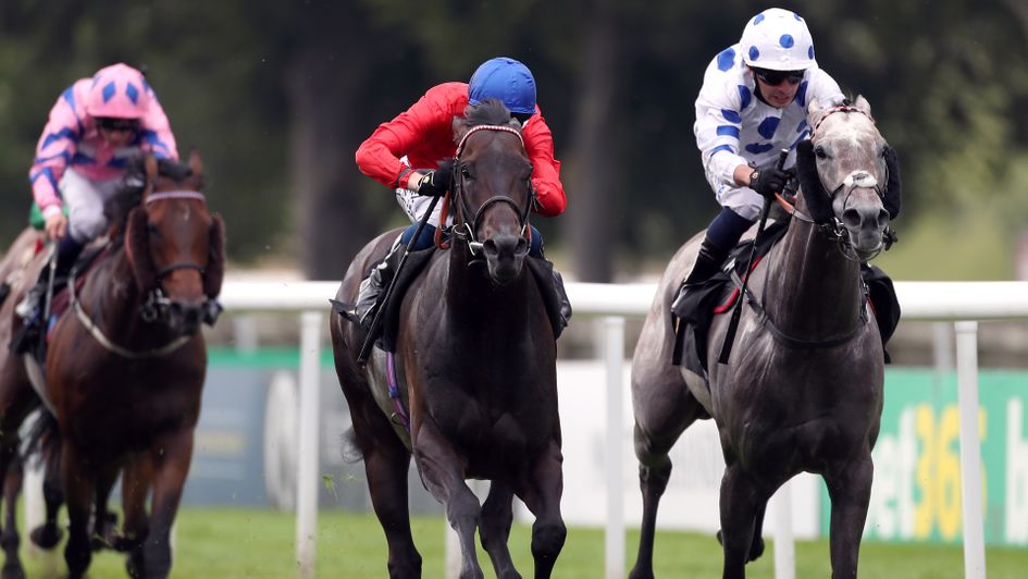 Twilight Calls (centre) looks a sprinter to keep on side