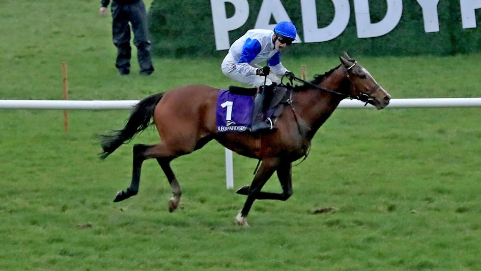 A Dream To Share impresses in the bumper