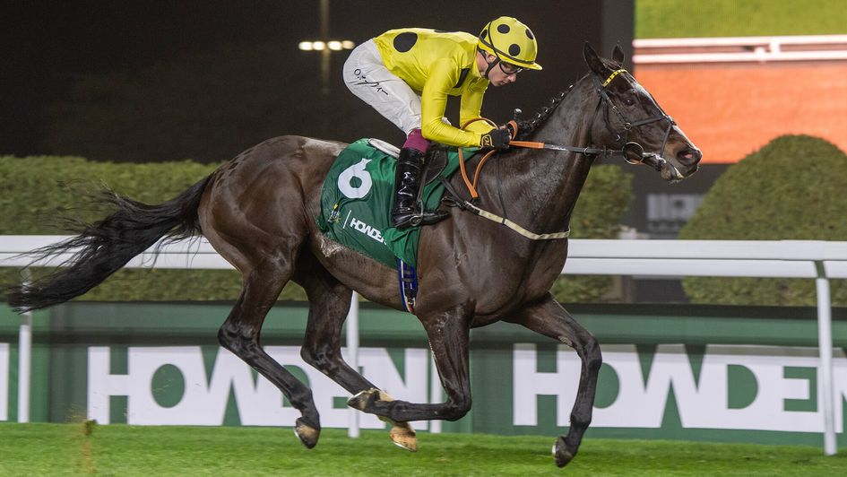 Royal Champion winning the Neom Turf Cup (Credit: JCSA/Mathea Kelley)