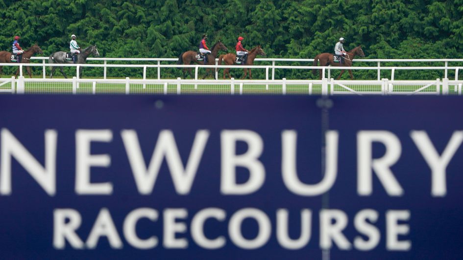 Newbury - profitable meeting for one punter