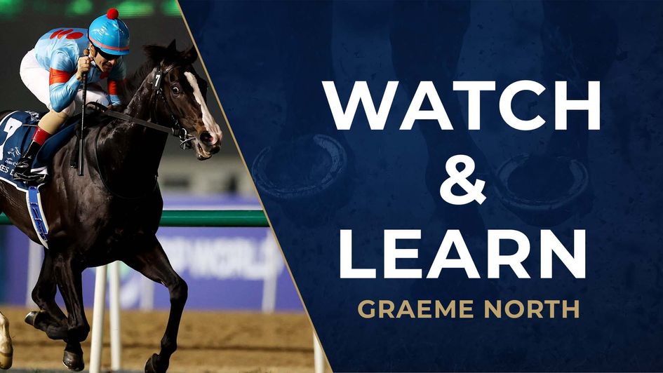 Equinox: Timeform's current best turf horse in the world