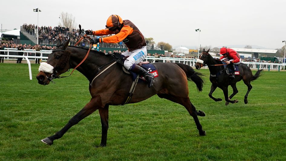 The Young Master storms home at Cheltenham