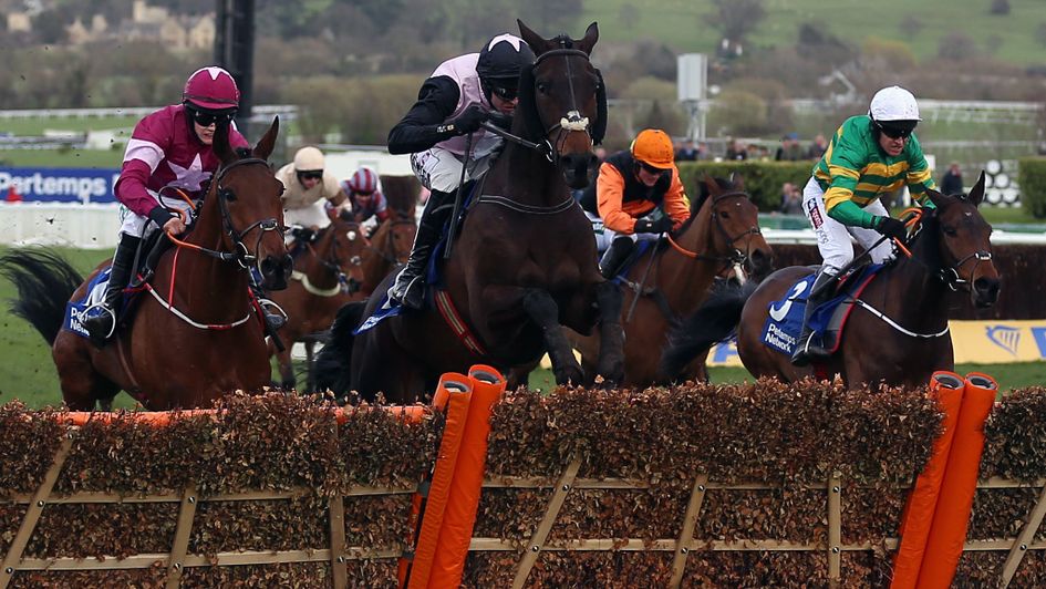 Sire Du Berlais (right) jumps the last in third