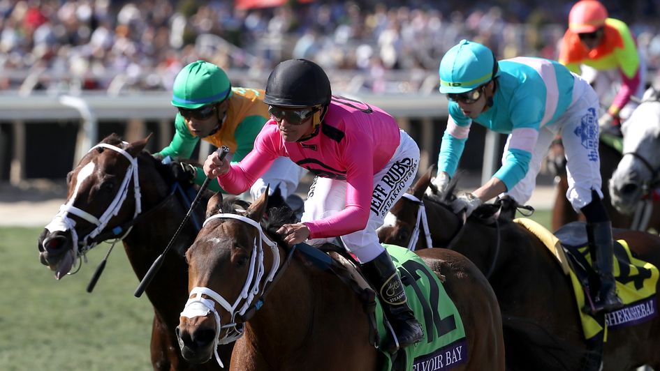 Belvoir Bay blitzes her rivals in the Breeders' Cup Turf Sprint