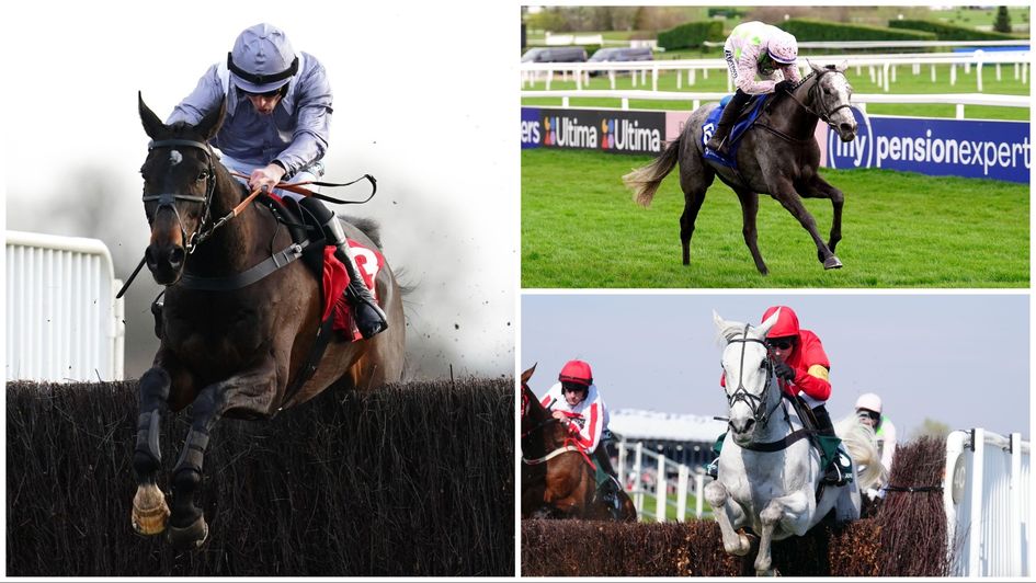 Some of the bug guns on show this weekend