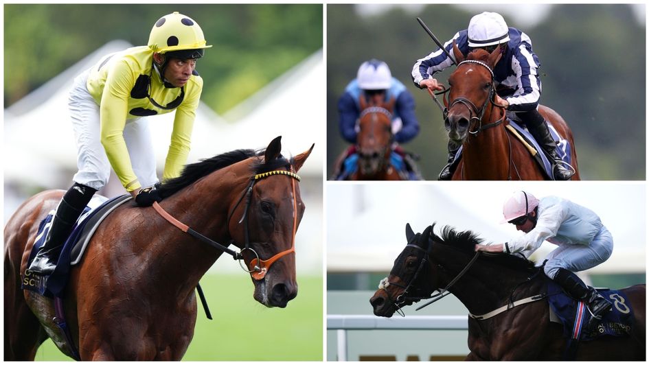 Some of the stars on show at York on Saturday