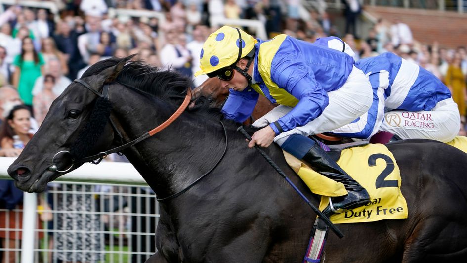 A big win for Solid Stone