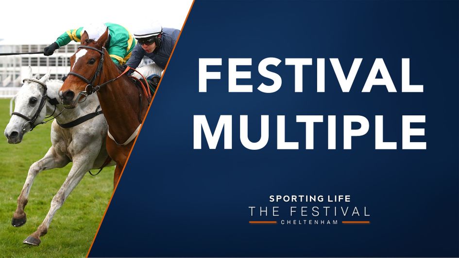 Don't miss our daily Cheltenham multiple