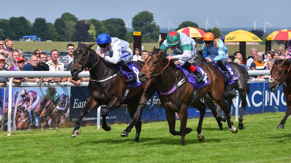 Kodyanna (blue cap) gets up to win at Beverley