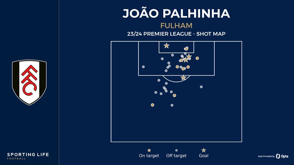 Joao Palhinha's shot map