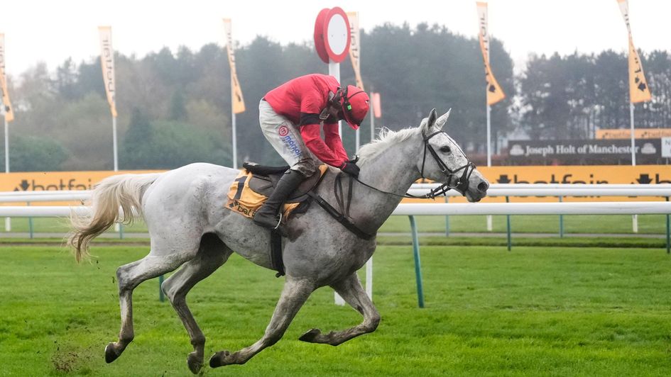 It's Grey Dawning's year in the Betfair Chase