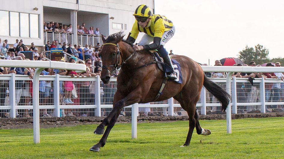 The exciting Hilitany