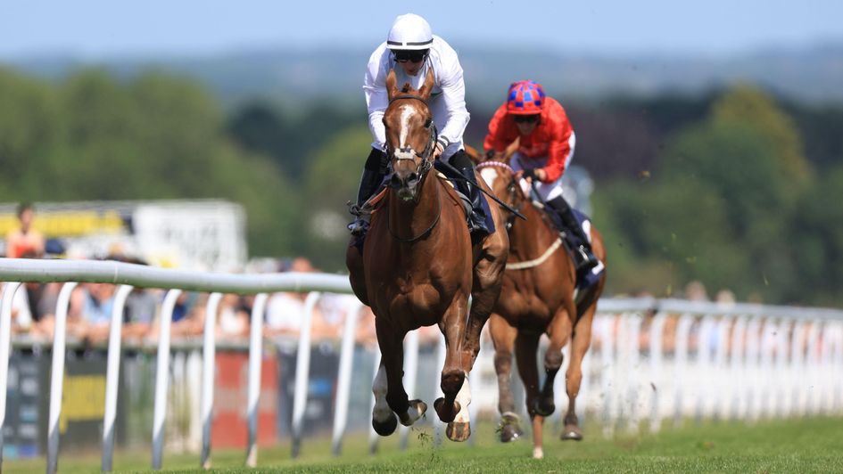Beverley - abandoned after three races