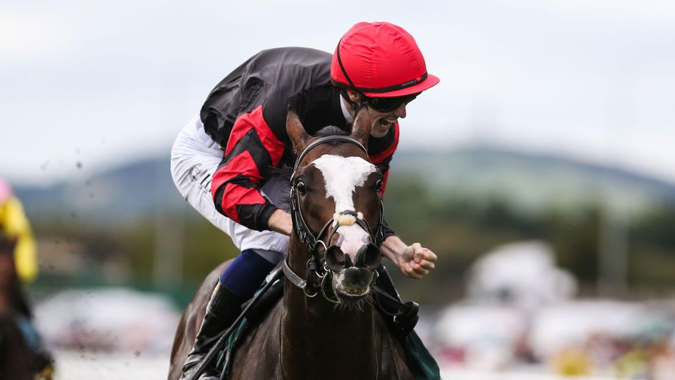 Joey Sheridan celebrates Folsom Blues' National Stakes win