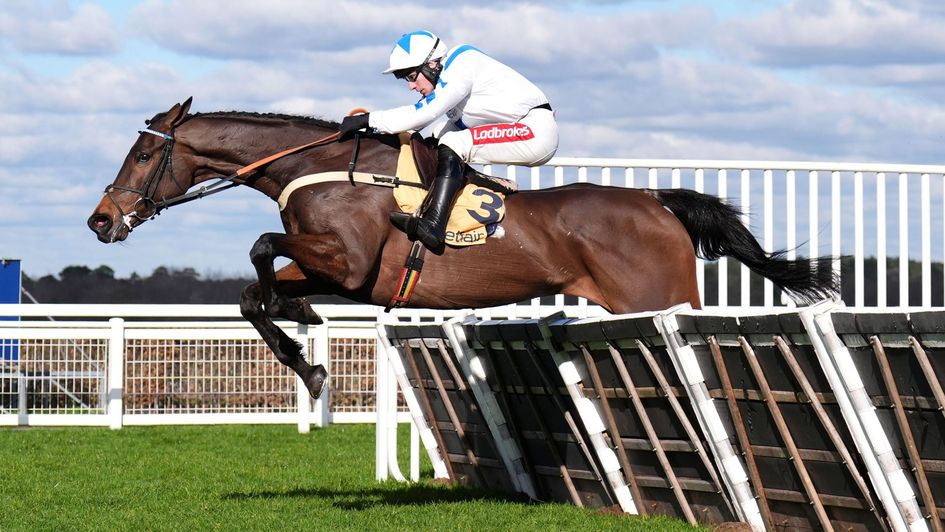 Mondoui'boy impresses at Ascot