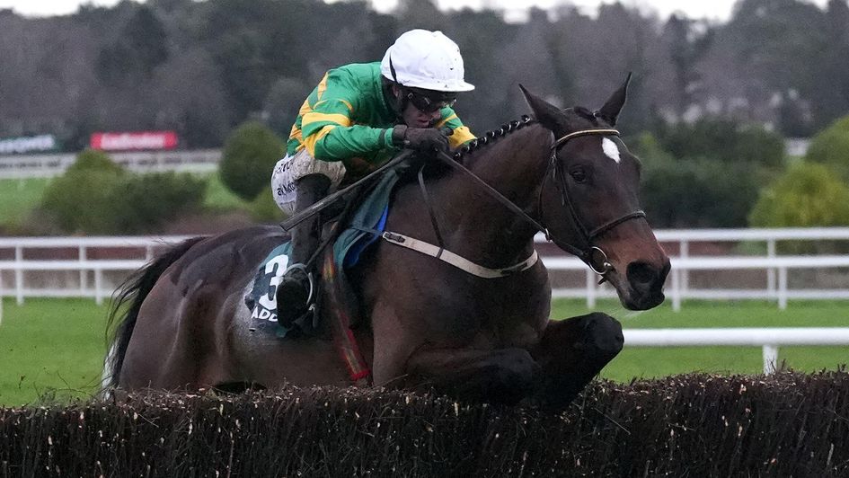 Fact To File jumps to victory in the Irish Gold Cup