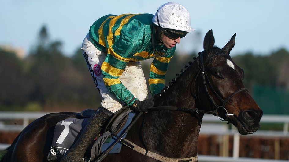 Fact To File won the Grade 1 match race on Sunday