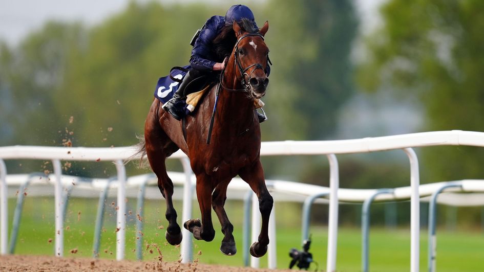 City Of Troy works at Southwell