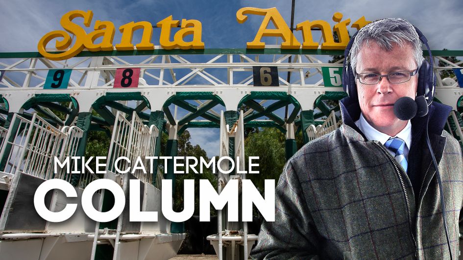 Mike Cattermole on the current hot topics in racing