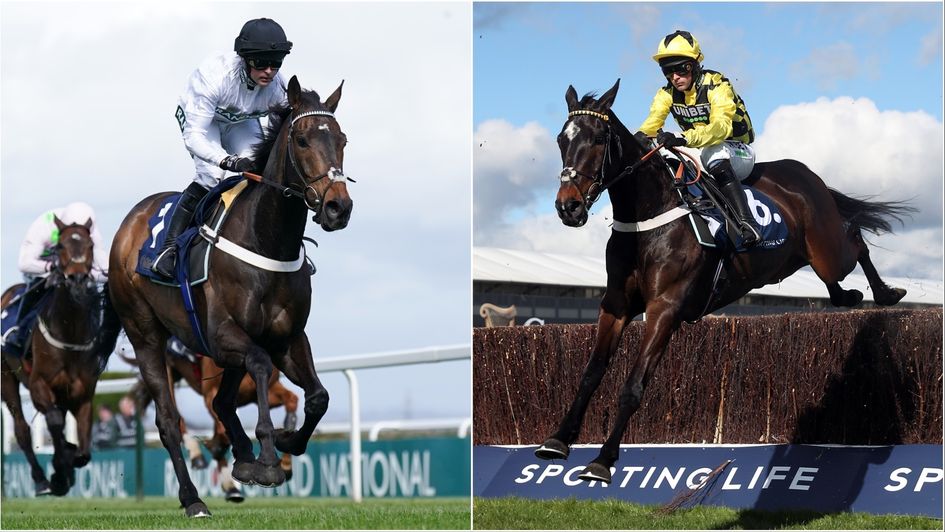 Constitution Hill (left) and stablemate Shishkin