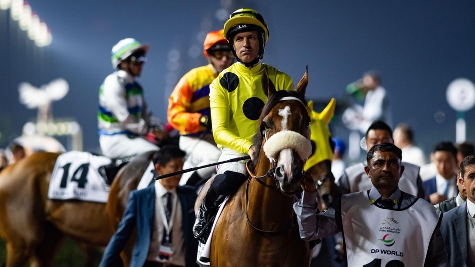 San Donato ahead of the 2024 Dubai Turf