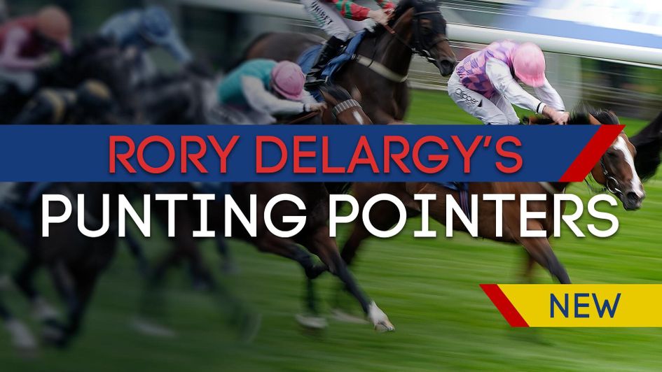 Rory Delargy Punting Pointerss