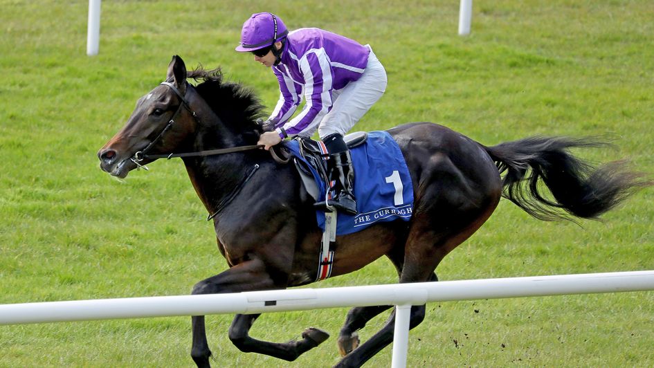 Democracy wins well at the Curragh