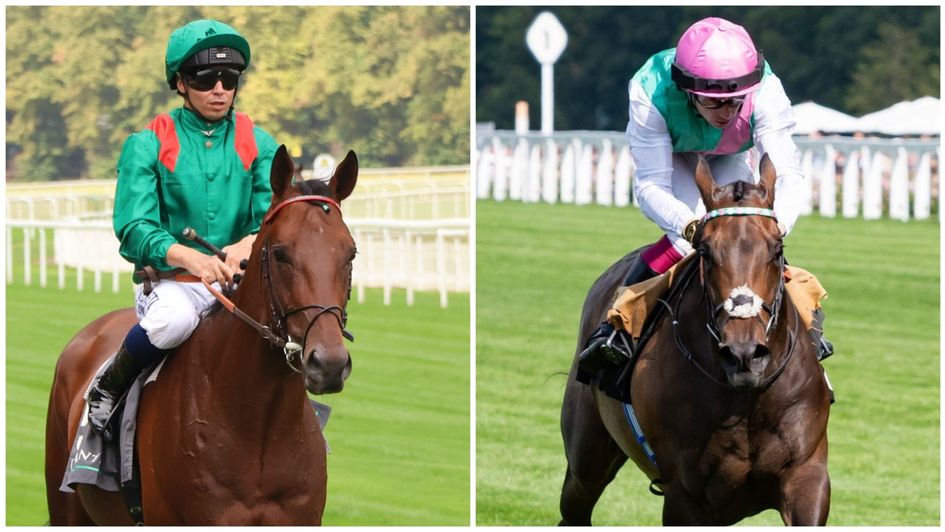 Daryz and Kalpana - strong fancies for Arc