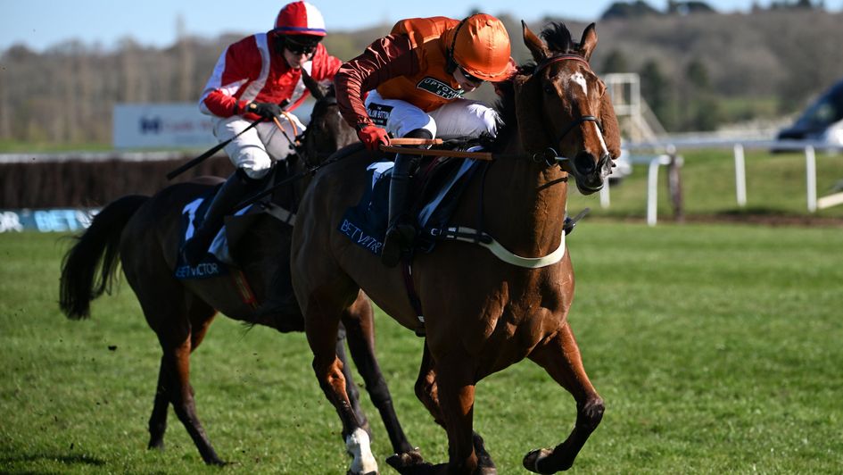 Charisma Cat wins at Newbury